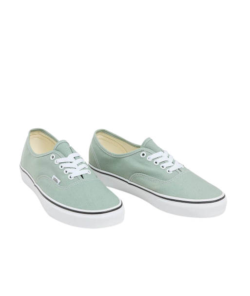 Vans Authentic Color Theory Iceberg En savoir plus