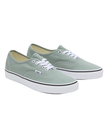 Vans Authentic Color Theory Iceberg En savoir plus