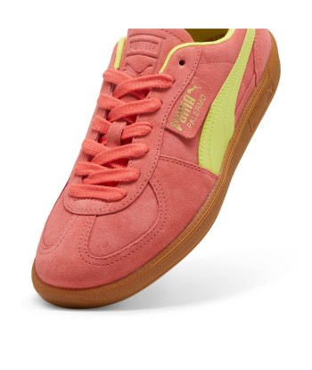 Puma Palermo online