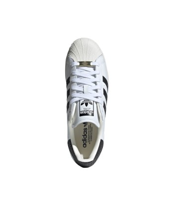 Adidas Superstar la colonne vertébrale