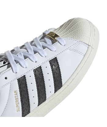 Adidas Superstar la colonne vertébrale