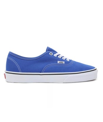 Vans Authentic Color Theory une grave pollution 