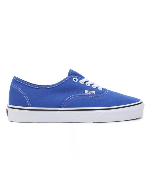 Vans Authentic Color Theory une grave pollution 