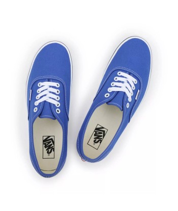 Vans Authentic Color Theory une grave pollution 