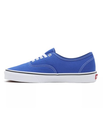 Vans Authentic Color Theory une grave pollution 